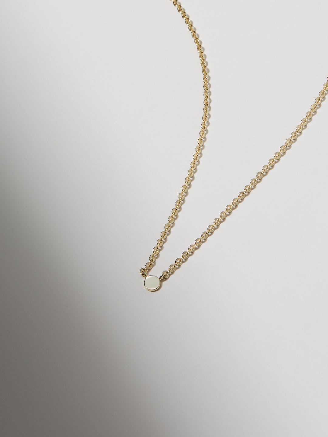 Ana Luisa Jewelry Necklaces Pendants Gold Disc Necklace Aaron Silver