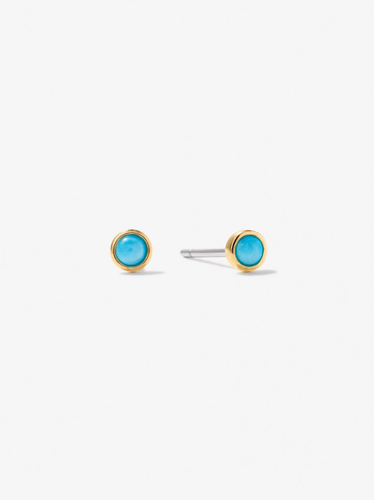 Ana Luisa Jewelry Earring Stud Turquoise Stud Earrings Leon Turquoise Silver