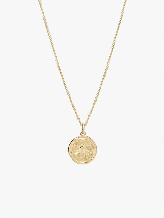 Ana Luisa Jewelry Necklace Pendant Necklace Organic Coin Necklace Nessie Gold