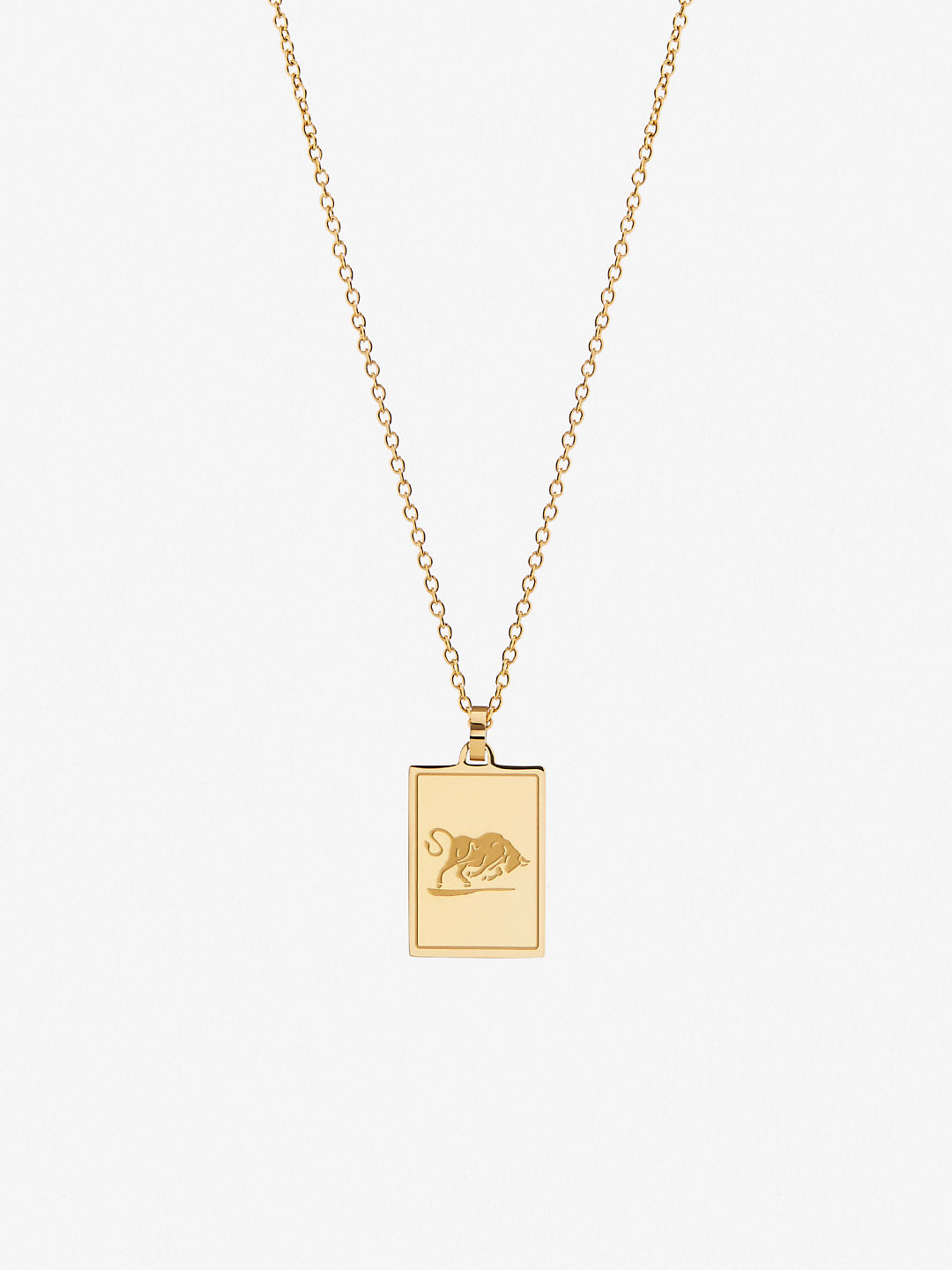 Ana Luisa Jewelry Necklaces Pendants Zodiac Necklace Taurus Stainless Steel