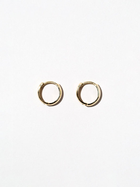 Ana Luisa Earrings Hoops Earrings 14K Gold Hoop Earrings  Thick Hoops