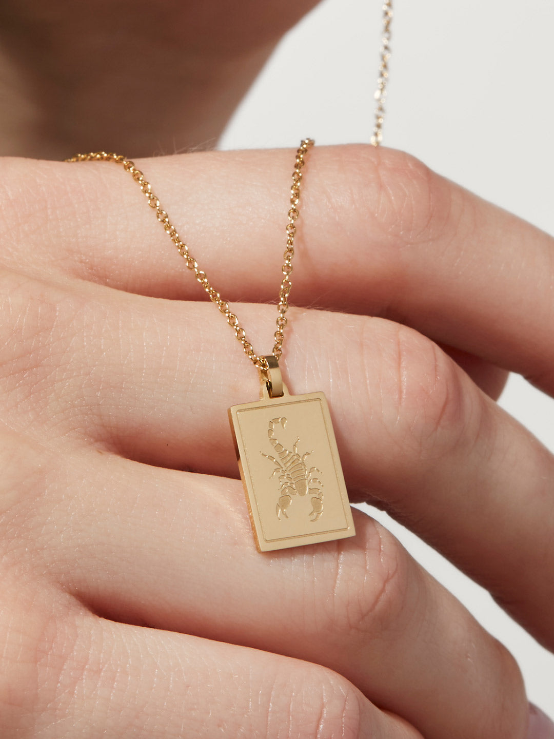 Ana Luisa Jewelry Necklaces Pendants Zodiac Necklace Scorpio Stainless Steel
