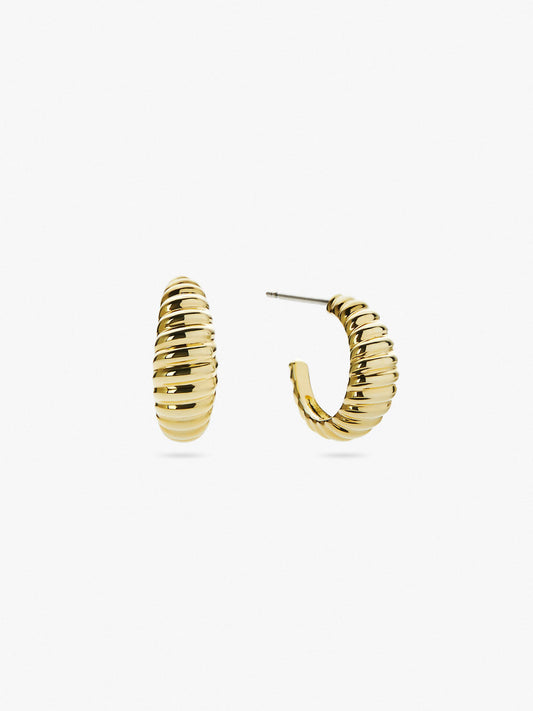 Ana Luisa Jewelry Earrings Small Hoops Chunky Gold Hoop Earrings Joni Gold