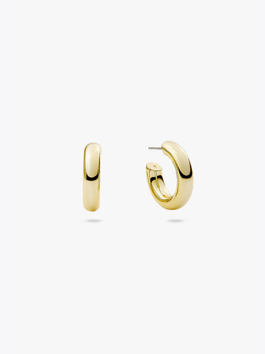 Ana Luisa Jewelry Earrings Small Hoops Small Gold Hoop Earrings Tia Mini Gold