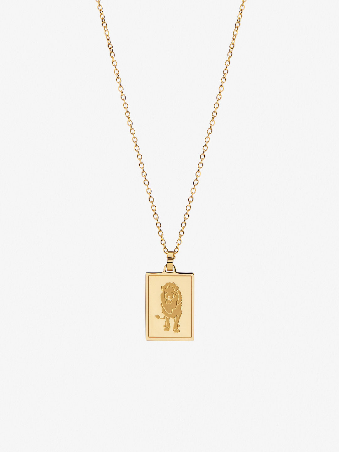 Ana Luisa Jewelry Necklaces Pendants Zodiac Necklace Leo Stainless Steel