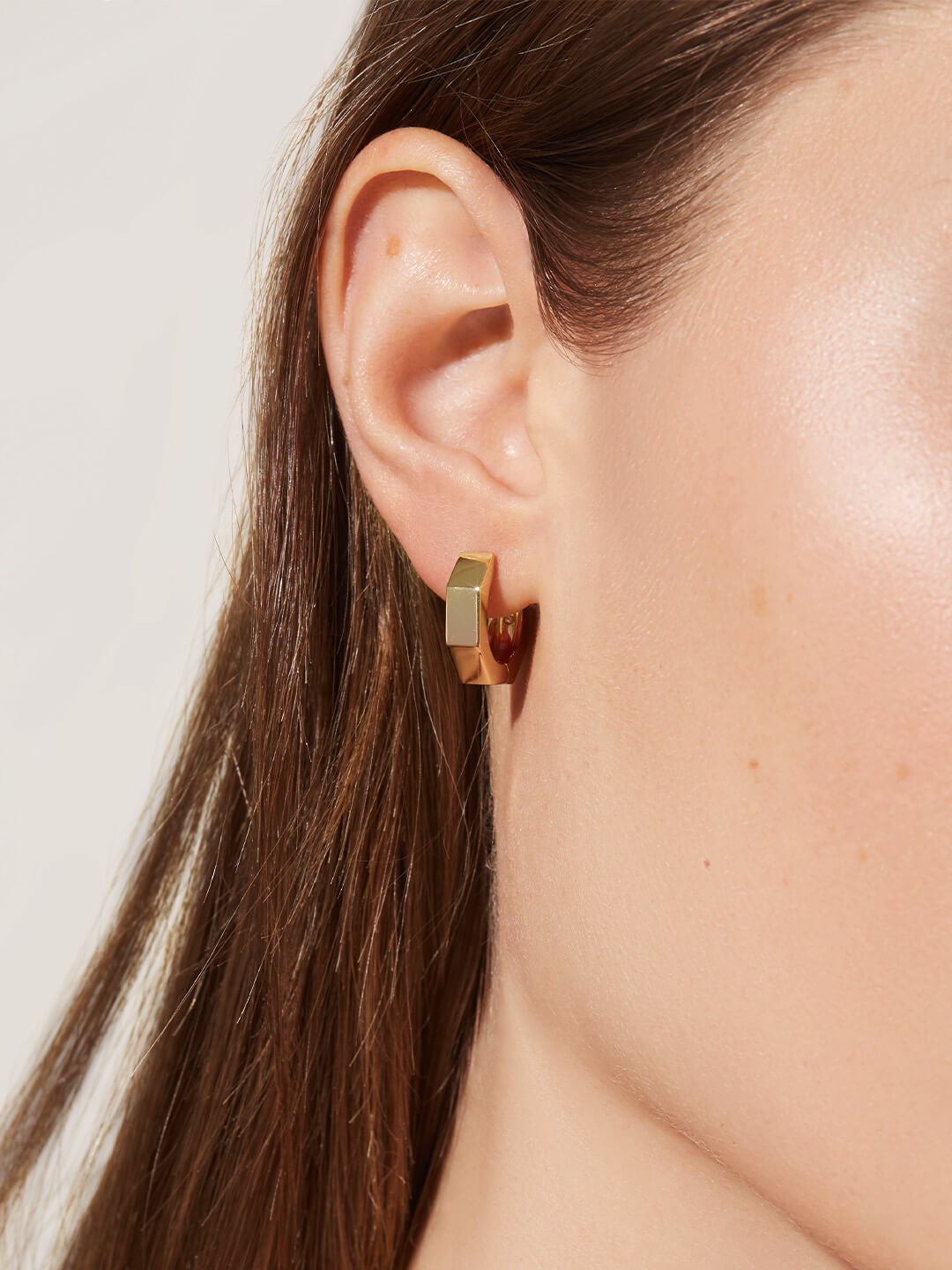 Ana Luisa Earrings Hoop Earrings Hardware Hoop Earrings Octo Small Gold